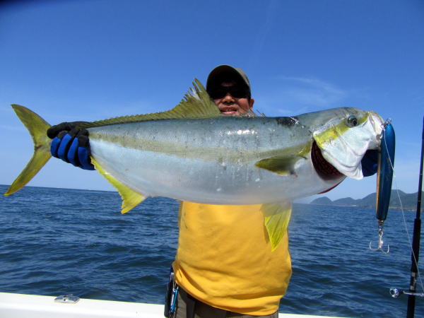 カーペンター BLC83／16 ブルーチェイサー