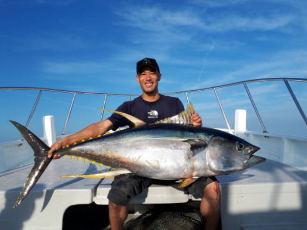 カーペンター BLC83／16 ブルーチェイサー