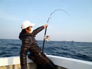 ブルー チェイサー BLC ヒラマサ マグロ ロッド