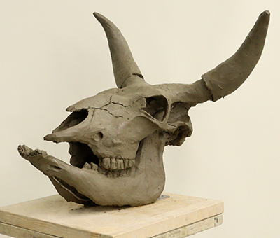 日常ブログ: ふじっコ 牛骨模刻！