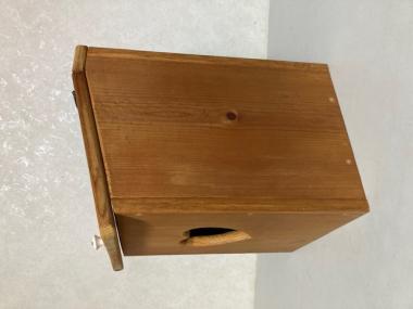 雑貨ならDOLL GARDEN / New item