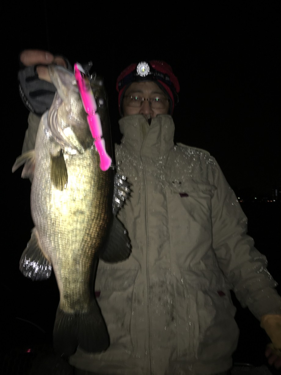 ブログ】 トビキチ ボンバダ