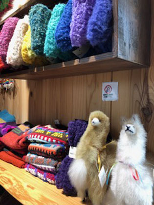 アルパカ専門店 T'IKA | 笠間観光 陶芸 笠間焼 お土産 お食事