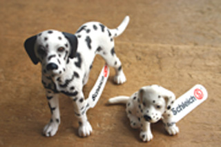 シュライヒ ダルメシアン