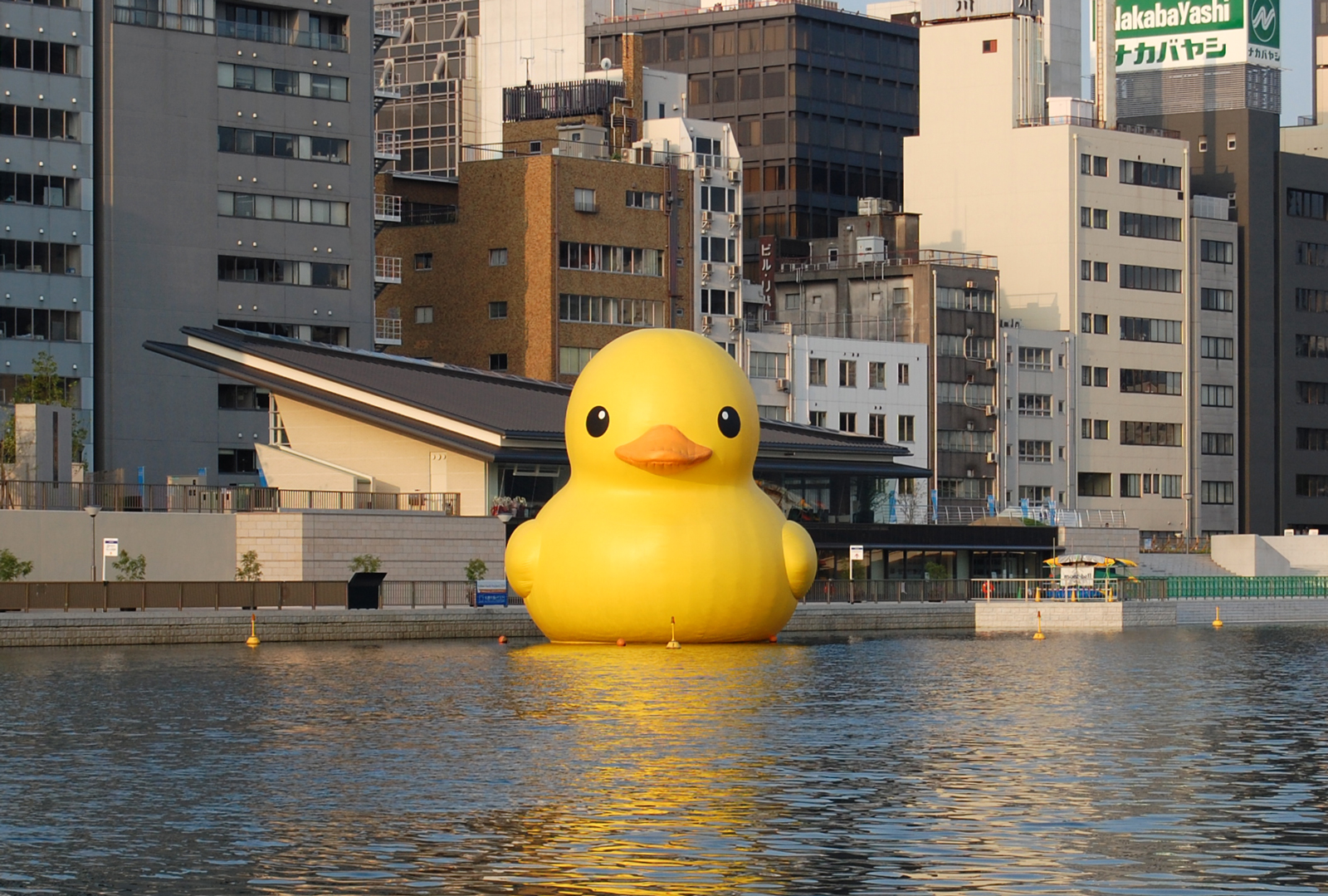 ラバーダック・プロジェクト/世界中を旅する巨大アヒル