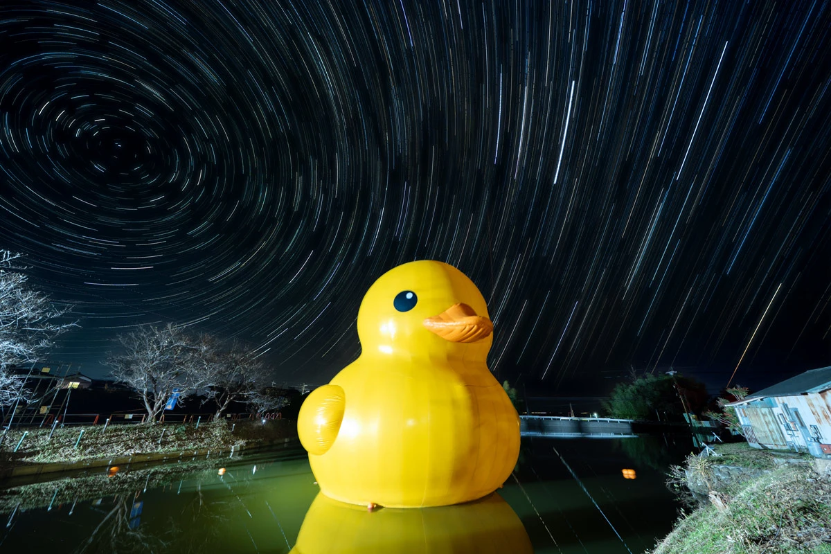 ラバーダック・プロジェクト/世界中を旅する巨大アヒル