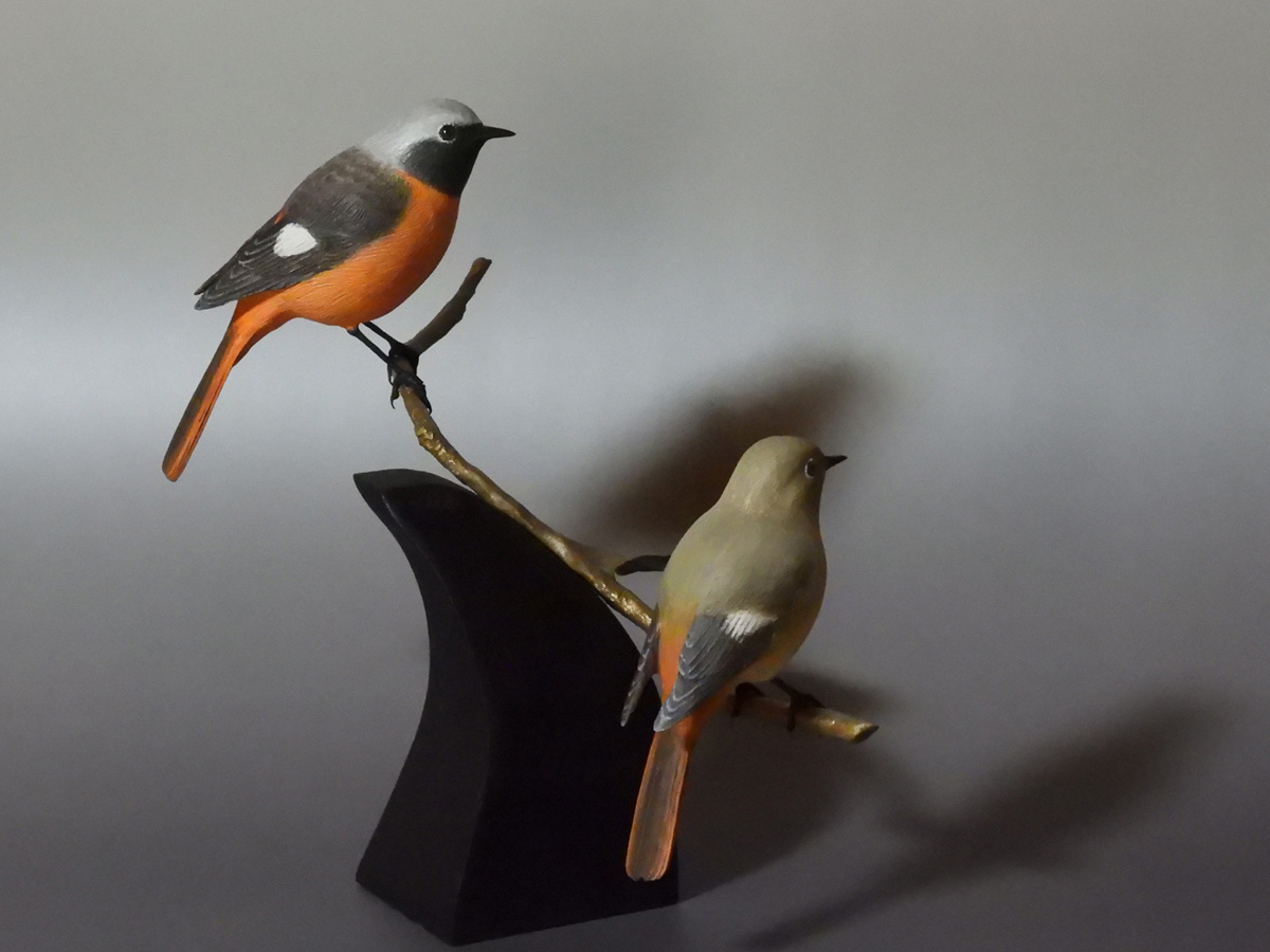 オオホシハジロのスタディバードバードカービング