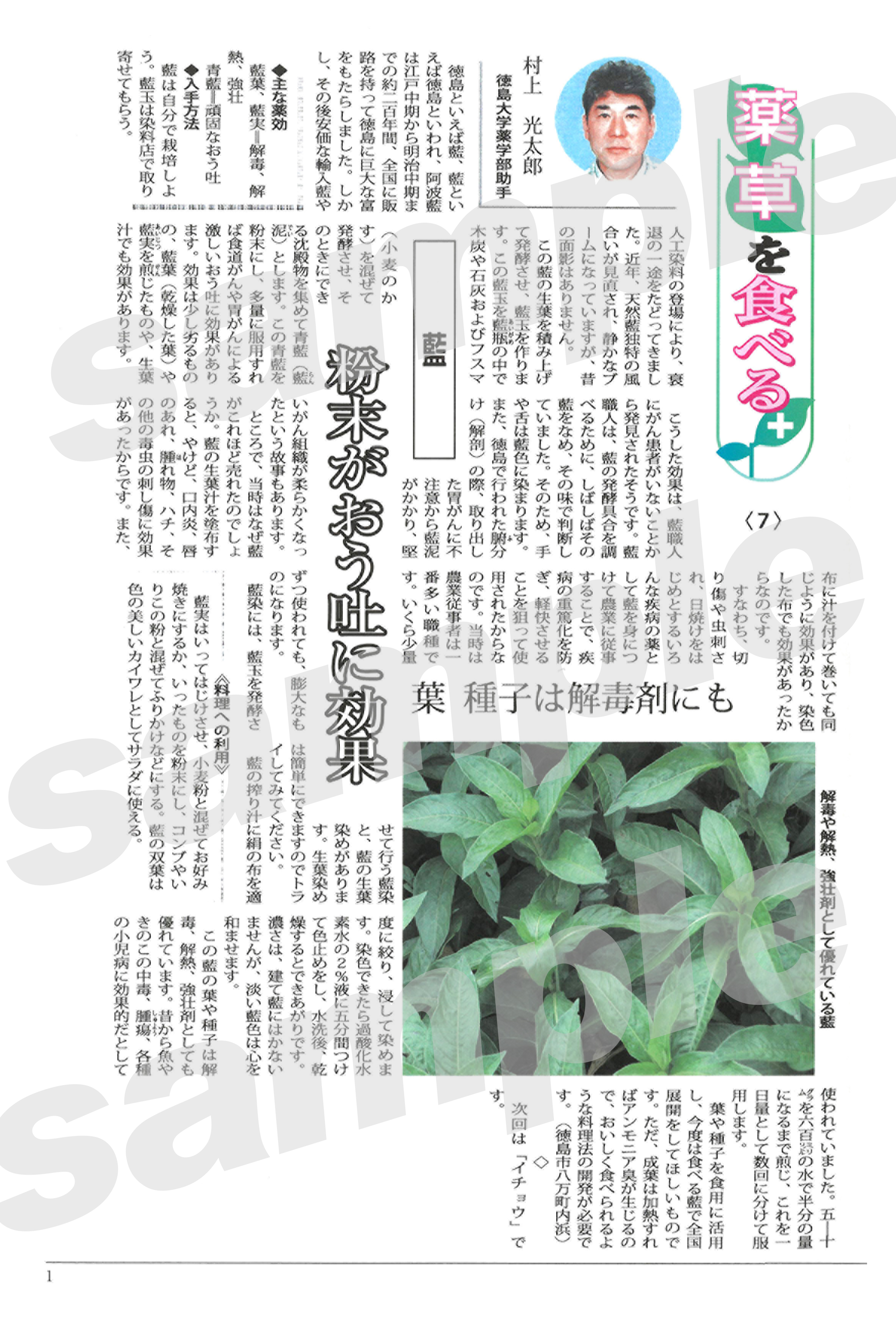 薬草を食べる 村上光太郎 著 発行 株式会社イシダ測機