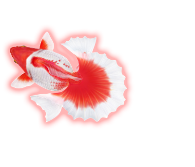 中古】 トーワケミカル FRP水槽FPJ-280 引取り限定