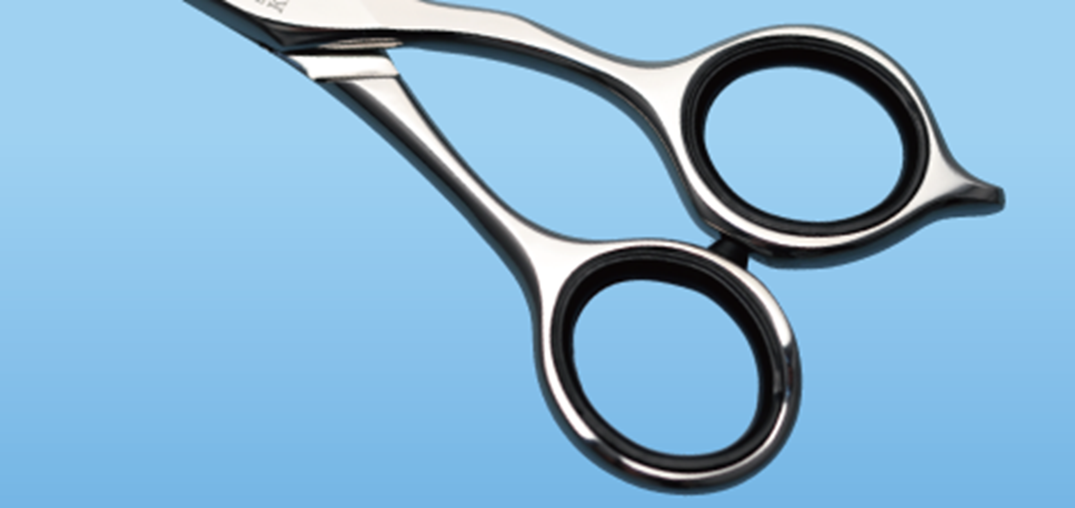 KIKU SCISSORS CO 60D シザー60インチ