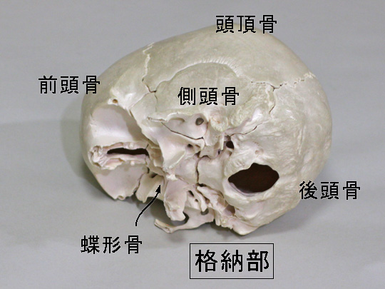 発達障害の治療