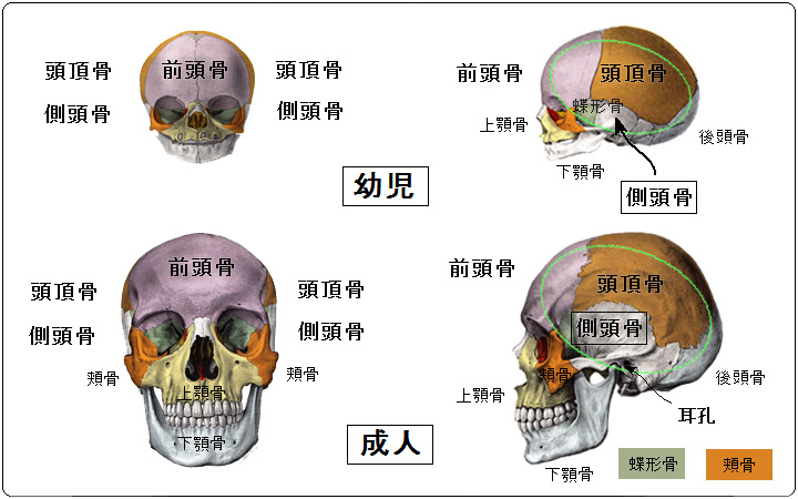 発達障害の治療