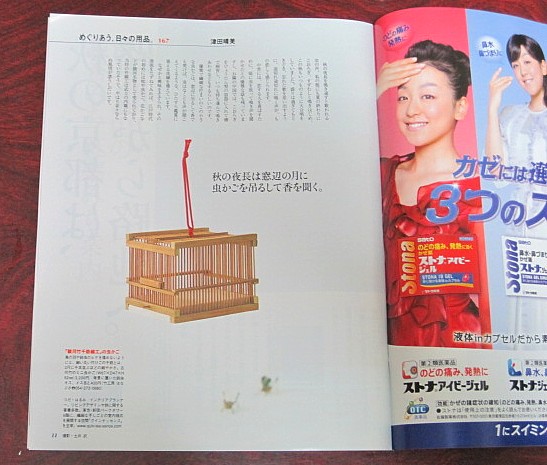 駿河竹千筋細工｣ 虫かご