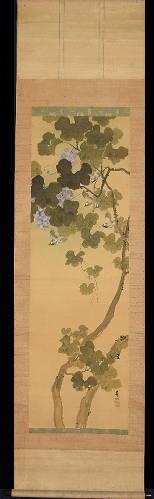 掛軸 宮田司山 萩草 小禽 掛軸 宮田司山 萩草 小禽 掛軸 宮田司山 萩草