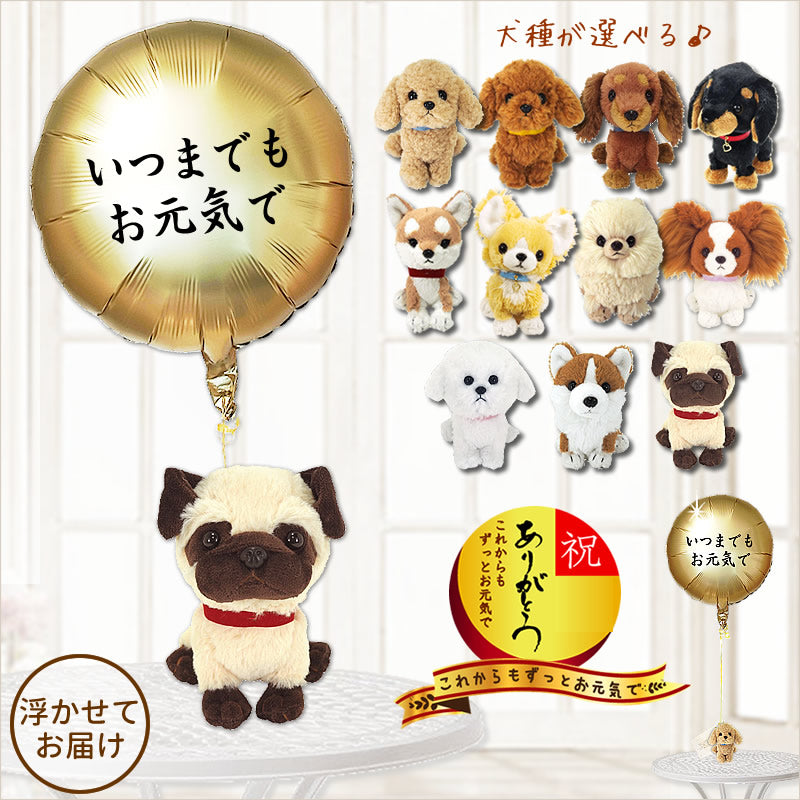 敬老 還暦 古希 喜寿 傘寿 米寿 卒寿 白寿 おばあちゃん おじいちゃん