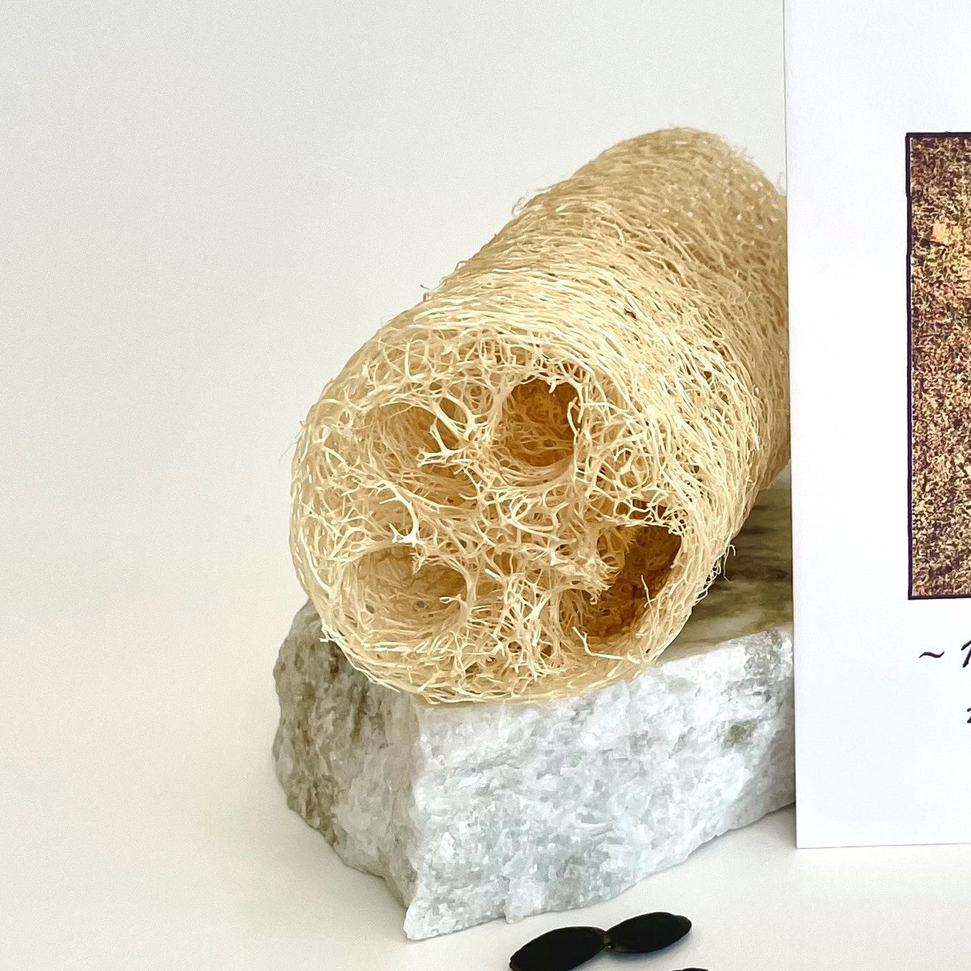 Shower Lover's Gift Box with Farm Grown Luffa – 1818 Farms