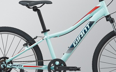 ジャイアント(GIANT) XTC JR 24(エックスティーシー ジュニア 24) 2020