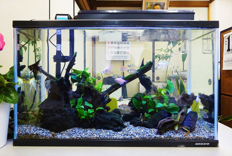 2026年・プロが選ぶ・水槽用上部フィルターおすすめトップ7と選定の