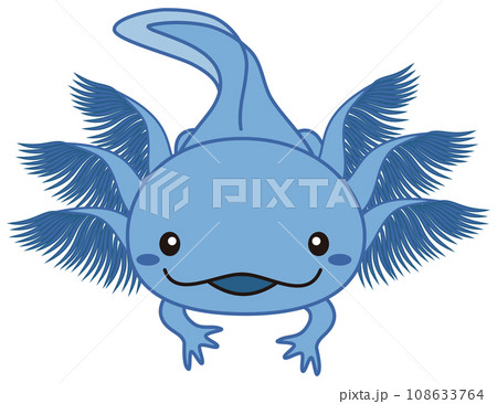 青いウーパールーパーのイラスト Axolotl ブルーのイラスト素材