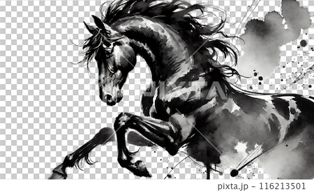 水墨画風の馬のイラスト素材 [116213501] - PIXTA