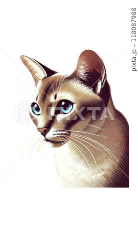 原画】『シンディー』（猫シンガプーラ絵画パステル画）