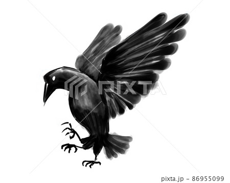 八咫鳥のイラスト素材 - PIXTA