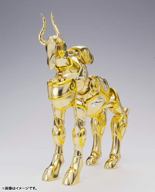 聖闘士聖衣神話EX カプリコーンシュラ | 魂ウェブ