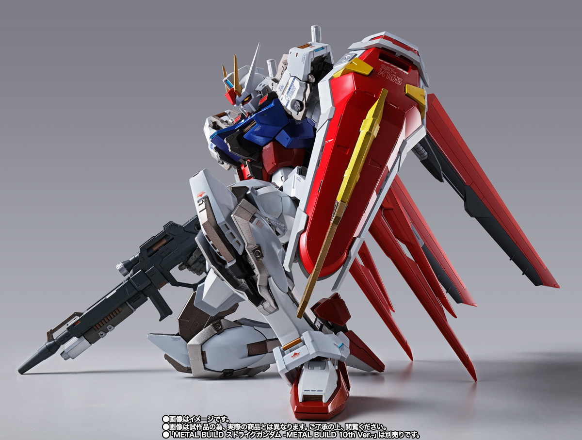 METAL BUILD [Special Sale] AILE STRIKER-METAL BUILD 10th Ver