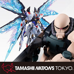 METAL BUILD ストライクフリーダムガンダム 光の翼オプションセット