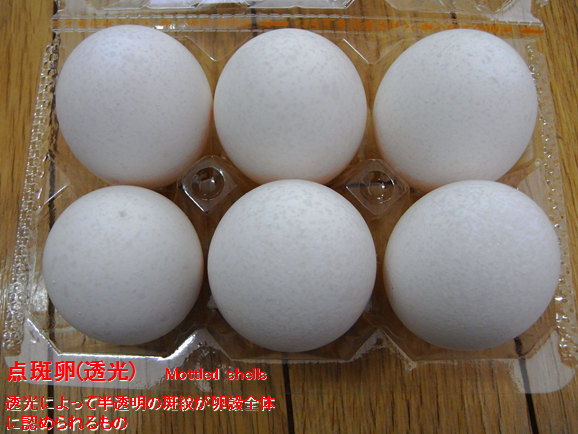 養鶏研修シリーズ（その1－2）【新】」