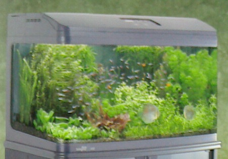 新高滝観魚園 / 水槽・簡易池・プラ池各種