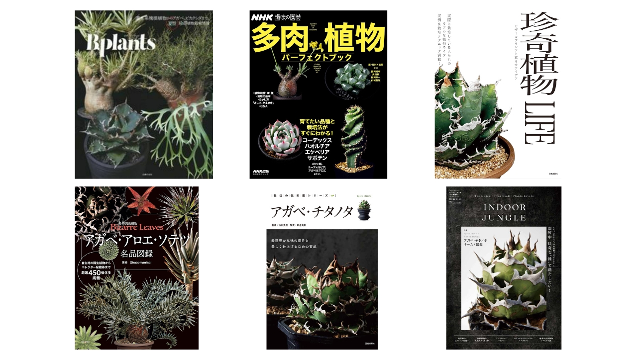 アガベの魅力を深掘り！初心者からプロまでおすすめ書籍9選【2026年