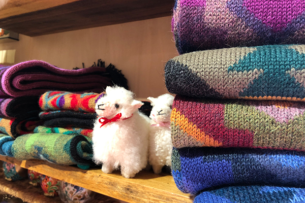 アルパカ製品/アルパカ専門店 T'IKA ティカ