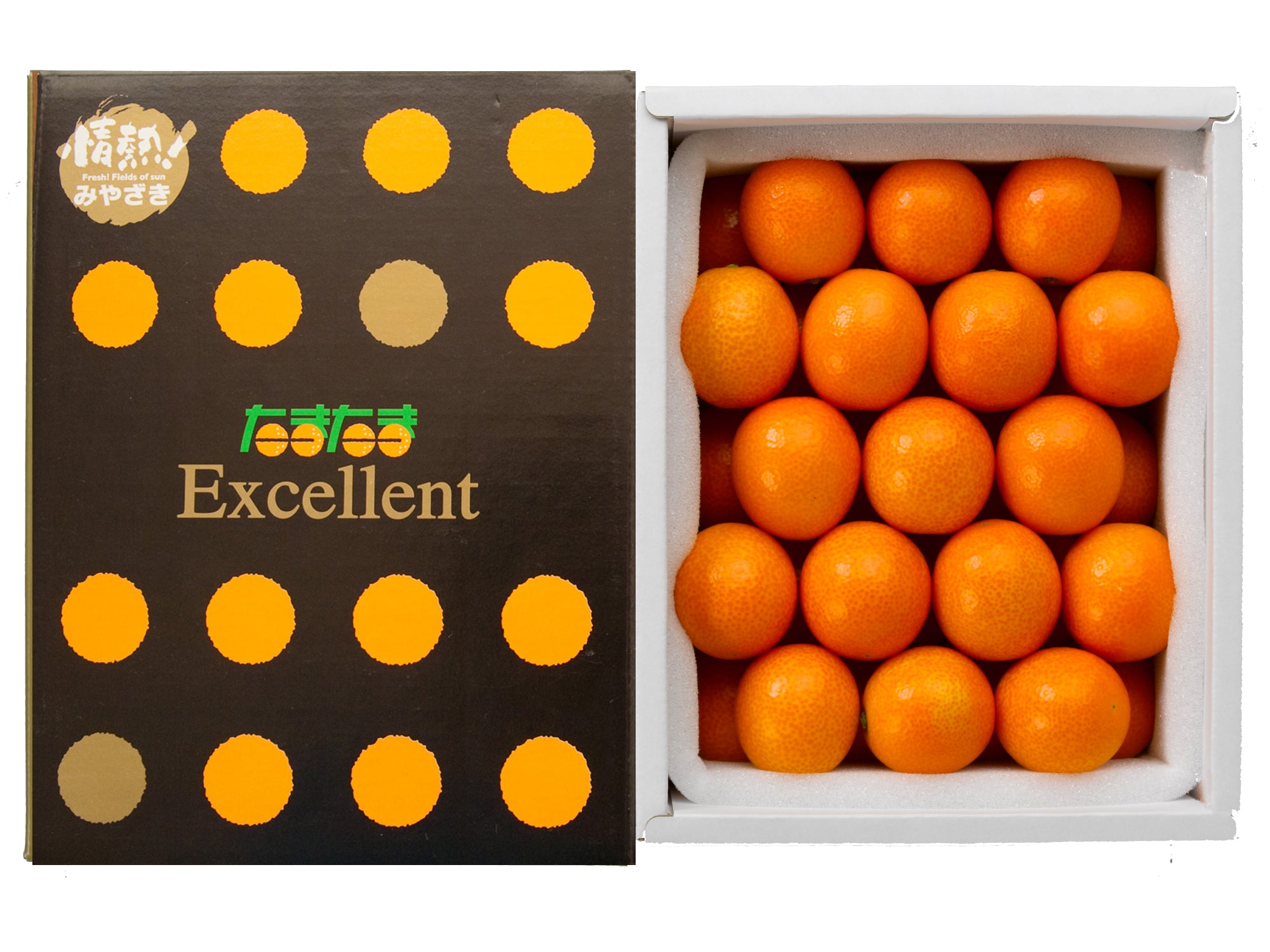 宮崎県産 最上級 A品 高級手詰め 完熟きんかん たまたまエクセレント
