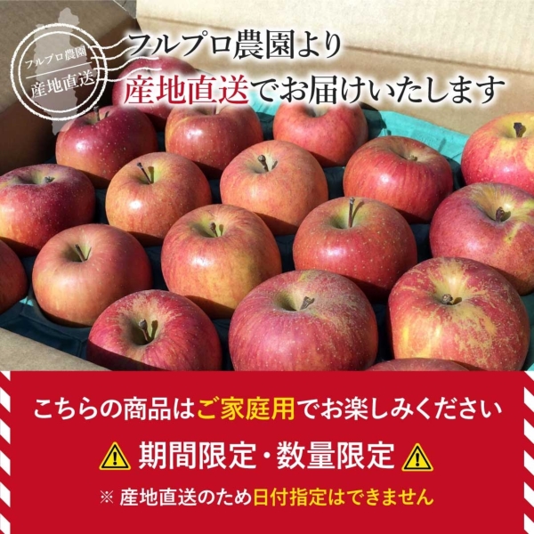 長野りんご｜長野県産 葉とらずりんごご家庭用 5kg（12～20玉）