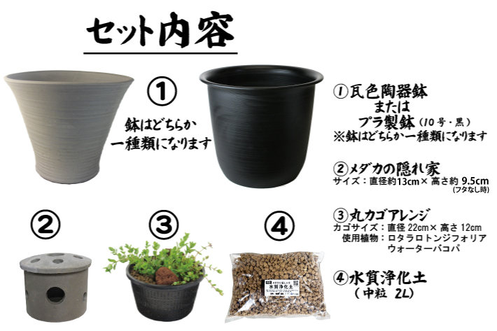 冬眠中のメダカを守る！ 深鉢セットのご紹介 | 杜若園芸WEBショップ