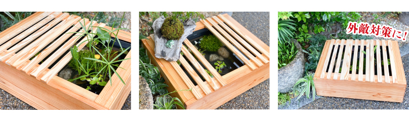 京の高級木枠（大）とプラボートのセット | 杜若園芸WEBショップ｜水草