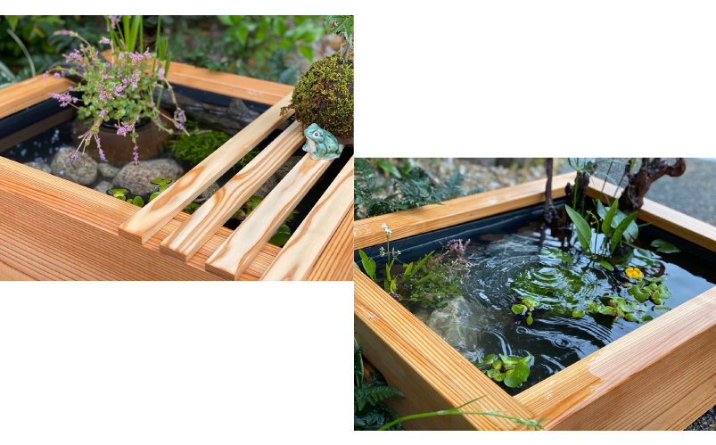 京の高級木枠（大）とプラボートのセット | 杜若園芸WEBショップ｜水草