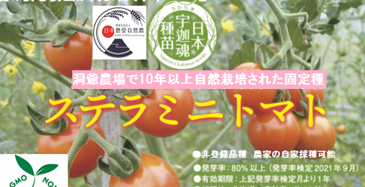 日本宇迦魂種苗 洞爺で固定種となった「豊受ステラミニトマト」のタネ