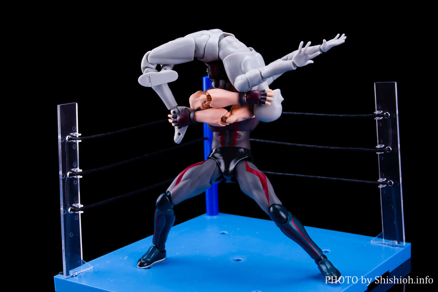 レビュー】S.H.Figuarts タイガー・ザ・ダーク