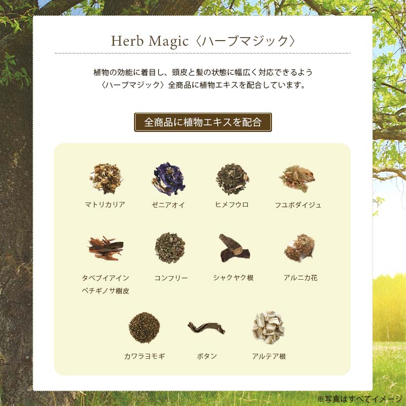 楽天市場】【2/20限定！抽選で100％ポイントバック】〈5〉【送料無料