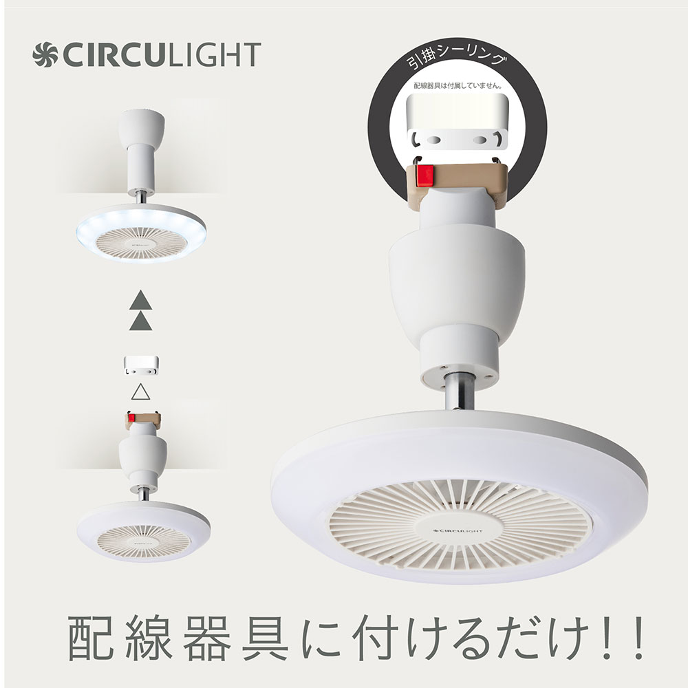 楽天市場】【2/20 2人に1人最大100％ポイントバック】【在庫処分セール