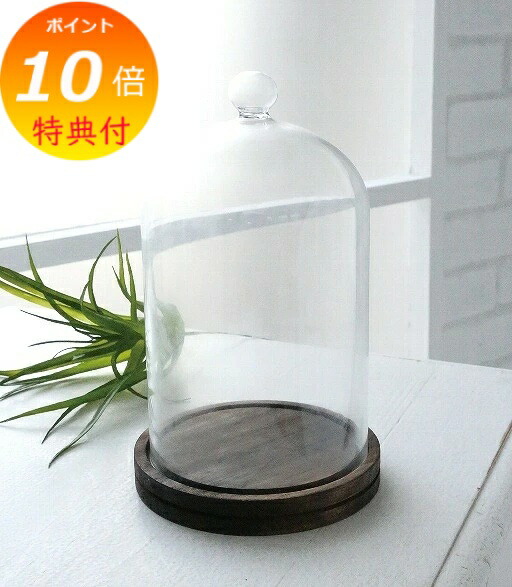 楽天市場】ダルトン ガラスドームの通販