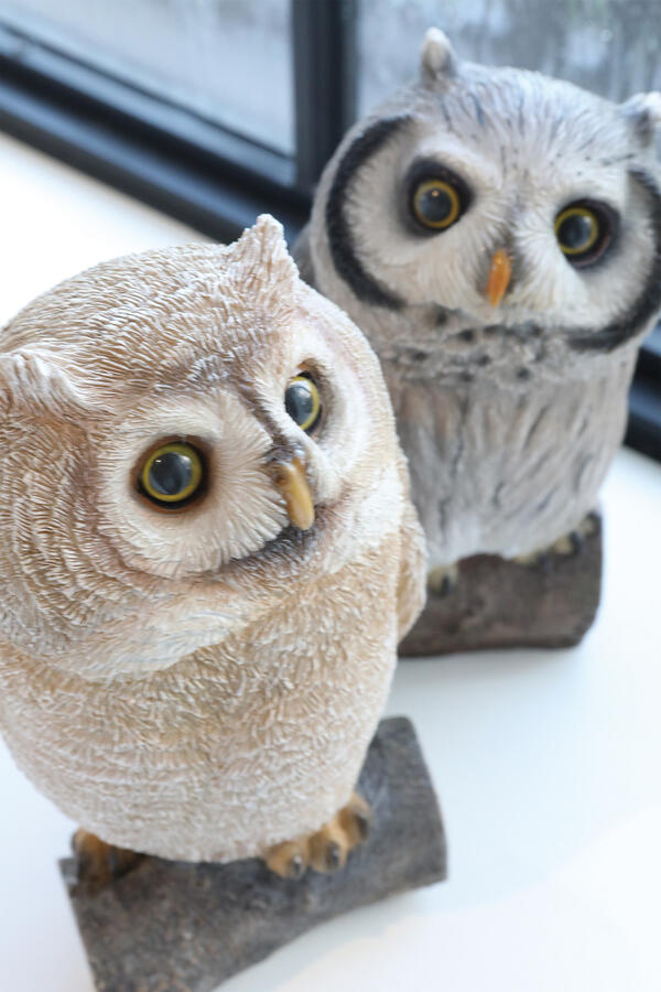 楽天市場】【特典付き】 ブレイク・ブランチオウル アンティーク調