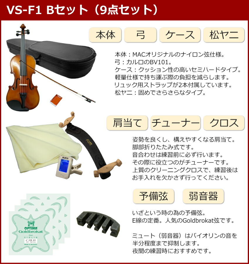 Carlo Giordano バイオリン VS-3A 4/4 （弓、ケース付） Carlo