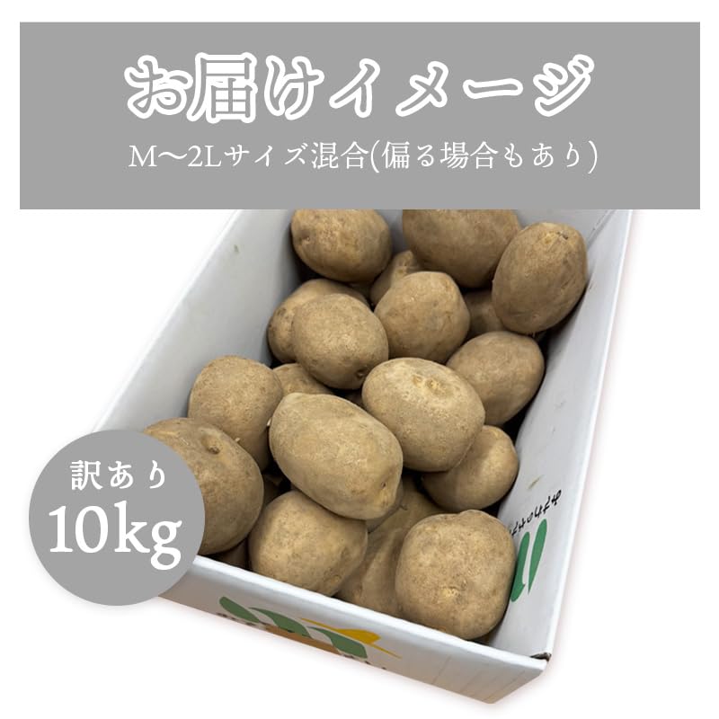 楽天市場】【5％OFFクーポン】選べるメークイン or 男爵 じゃがいも