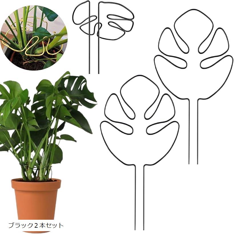 楽天市場】モンステラ スタンドの通販