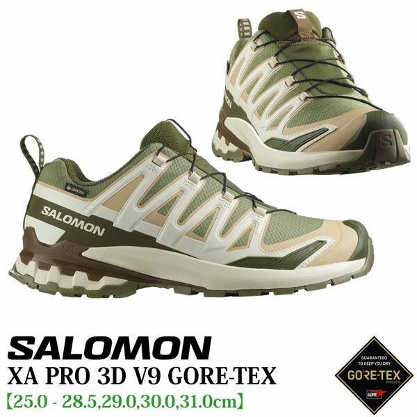 楽天市場】サロモン エックスエープロ3DV9ゴアテックス SALOMON XA PRO