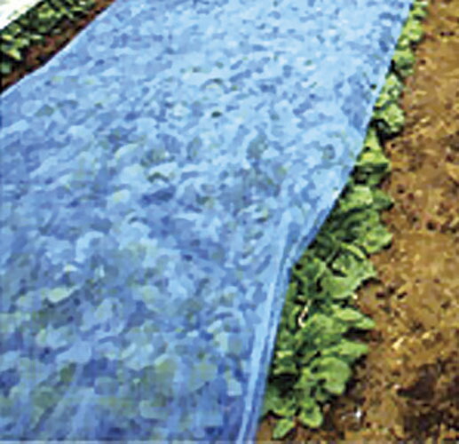 楽天市場】2026年2月23日1：59まで 当店のお買い物でポイント5倍