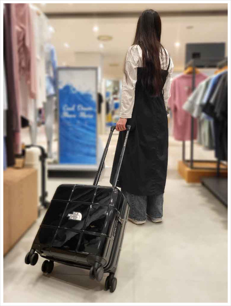 楽天市場】☆送料無料☆[THE NORTH FACE] NN2AR50 TNF NEW WHEELER 16